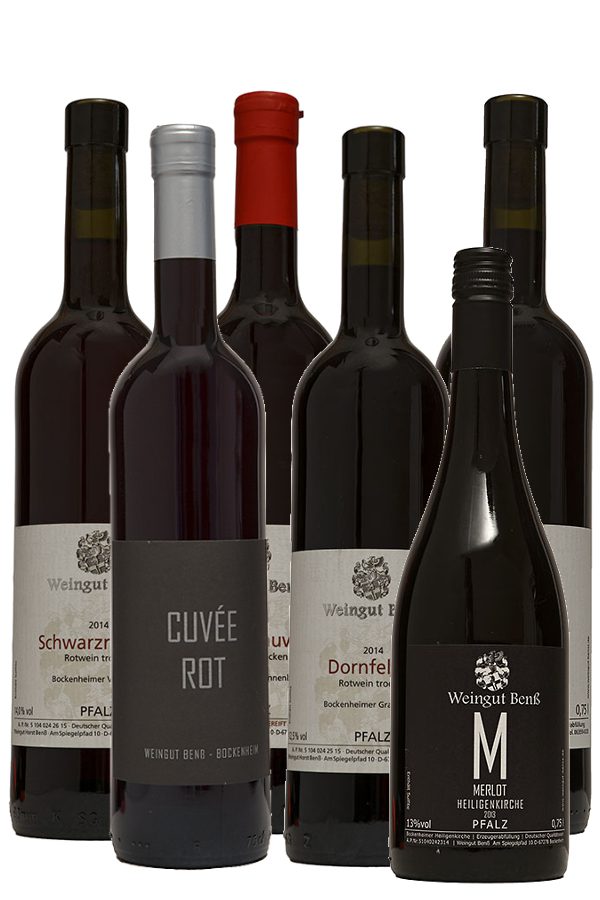 Probepaket Rotwein: 6x 1 Rotwein – Flasche trocken 0,75l
